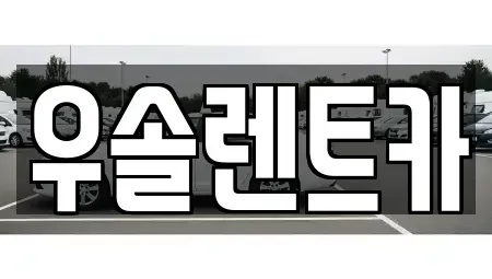 충북 청주시 흥덕구 수의동 렌트카 전문 우솔렌트카