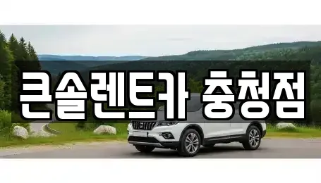 충북 청주시 흥덕구 수의동 렌트카 전문 큰솔렌트카 충청점