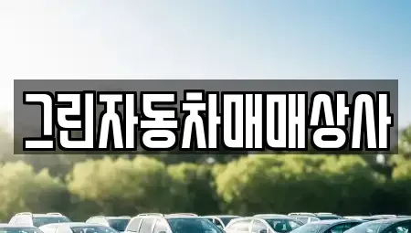 충북 청주시 흥덕구 수의동 중고차매매 전문 그린자동차매매상사