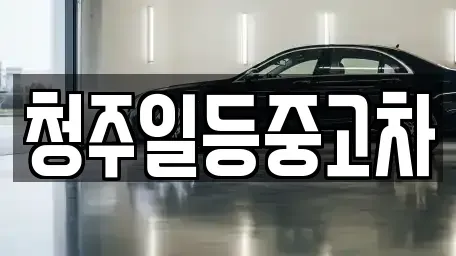 충북 청주시 흥덕구 수의동 중고차매매 전문 청주일등중고차