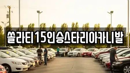 충북 충주시 충의동 렌트카 전문 쏠라티15인승스타리아카니발