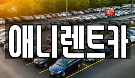충북 충주시 충의동 렌트카 전문 애니렌트카