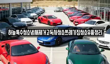 충북 충주시 충의동 중고차 전문 하늘특수청소냄새제거고독사청소쓰레기집청소유품정리