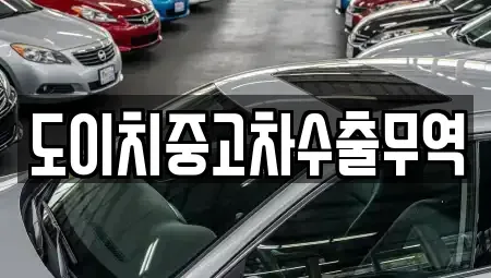 충청남도 부여군 옥산면 중고차매매 전문 도이치중고차수출무역