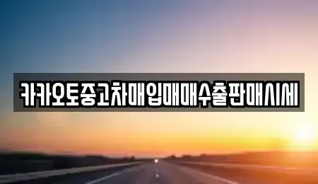 충청남도 부여군 옥산면 중고차매매 전문 카카오토중고차매입매매수출판매시세