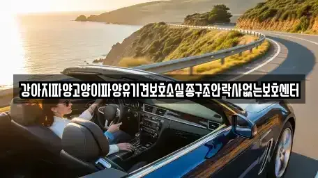 충청남도 부여군 옥산면 중고차매입 전문 강아지파양고양이파양유기견보호소실종구조안락사없는보호센터