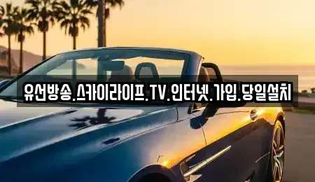 충청남도 예산군 광시면 중고차 전문 유선방송.스카이라이프.TV.인터넷.가입.당일설치