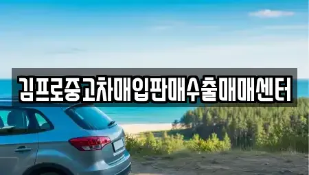 충청남도 홍성군 구항면 중고차매입 전문 김프로중고차매입판매수출매매센터