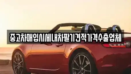 충청남도 홍성군 구항면 중고차매입 전문 중고차매입시세내차팔기견적가격수출업체