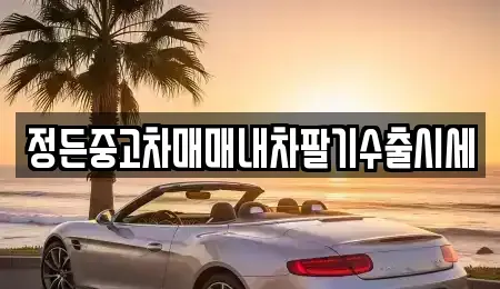 충청북도 보은군 회남면 중고차매매 전문 정든중고차매매내차팔기수출시세