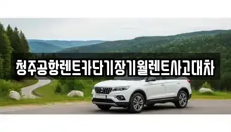 충청북도 청주시 청원구 오동동 단기렌트카 전문 청주공항렌트카단기장기월렌트사고대차