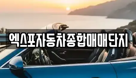 충청북도 청주시 청원구 오동동 중고차매매 전문 엑스포자동차종합매매단지