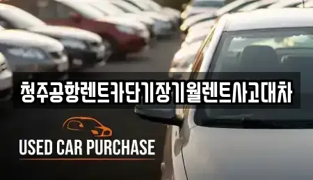 충청북도 청주시 흥덕구 수의동 단기렌트카 전문 청주공항렌트카단기장기월렌트사고대차