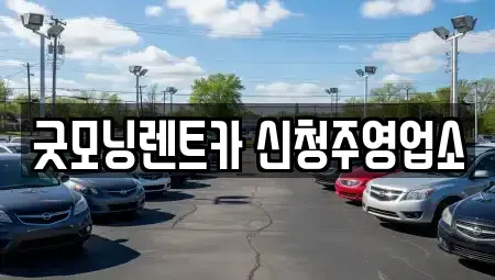 충청북도 청주시 흥덕구 수의동 렌트카 전문 굿모닝렌트카 신청주영업소