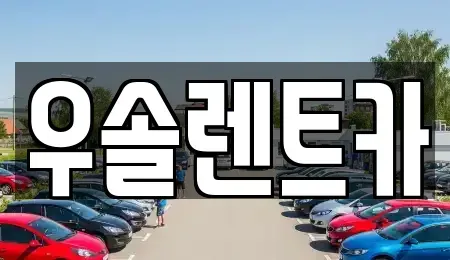 충청북도 청주시 흥덕구 수의동 렌트카 전문 우솔렌트카