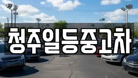 충청북도 청주시 흥덕구 수의동 중고차매매 전문 청주일등중고차