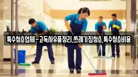 특수청소업체-고독사유품정리,쓰레기집청소,특수청소비용