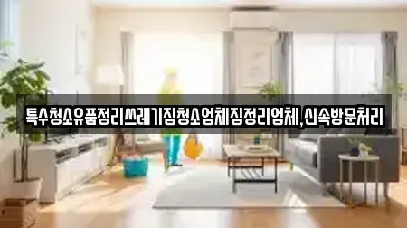 특수청소유품정리쓰레기집청소업체집정리업체,신속방문처리