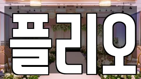 플리오