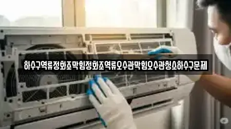 하수구역류정화조막힘정화조역류오수관막힘오수관청소하수구문제