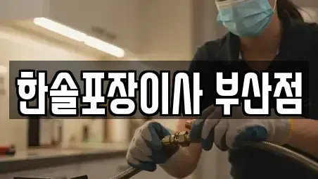 한솔포장이사 부산점